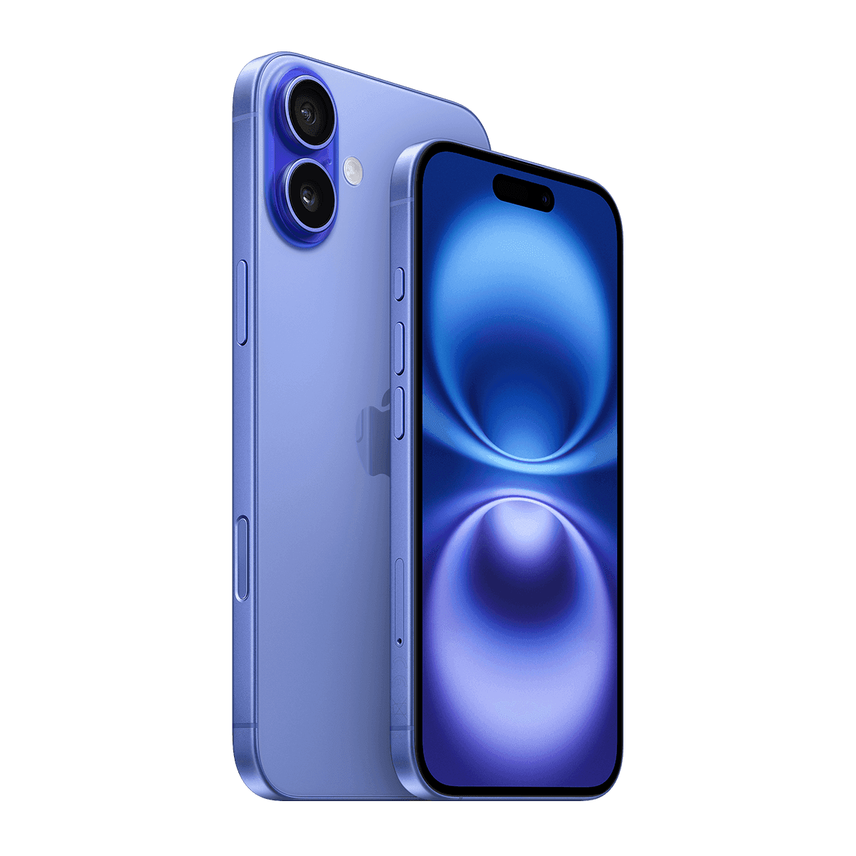 No alternative text provided