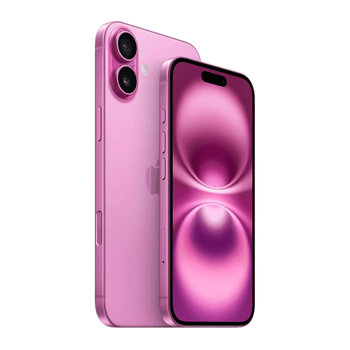 No alternative text provided